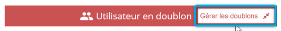 Bandeau utilisateur en doublon .png