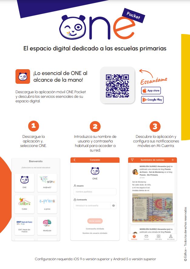 ONE Pocket espagnol.png